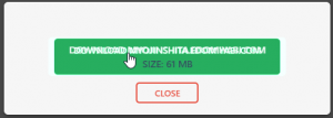 「All-in-One WP Migration」